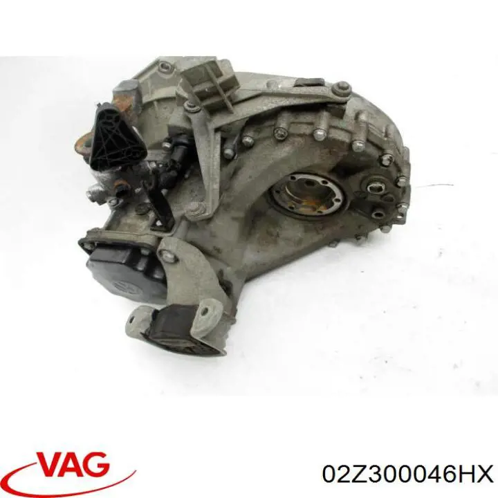 02Z300046H VAG