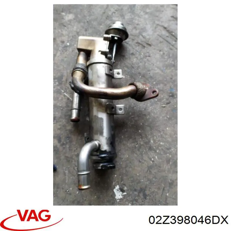 02Z300046DX VAG Transimisión manual