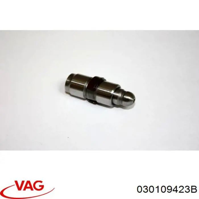 030109423B VAG Taqués de motor