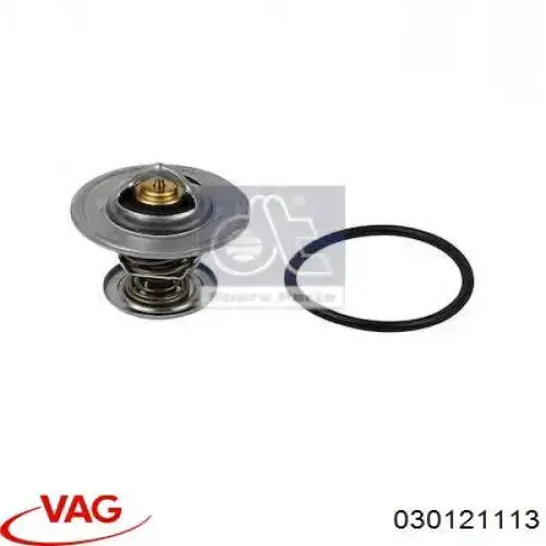 030121113 VAG Termostato de agua
