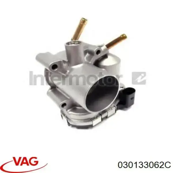 030133062C VAG Mariposa de admisión