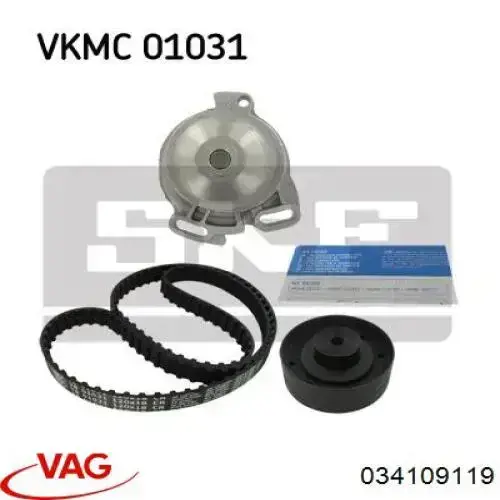 034109119 VAG correa distribucion