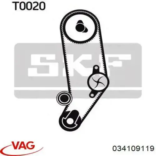 Comprar 034109119 VAG Correa distribución