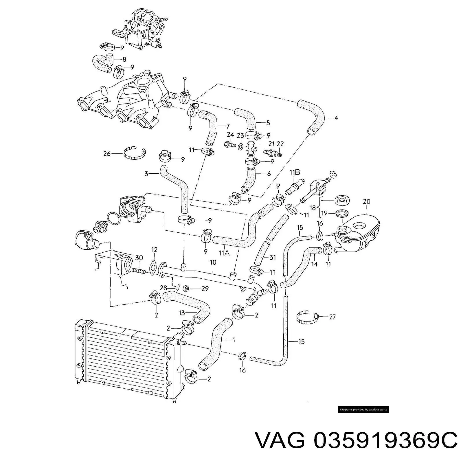 035919369C VAG Interruptor térmico