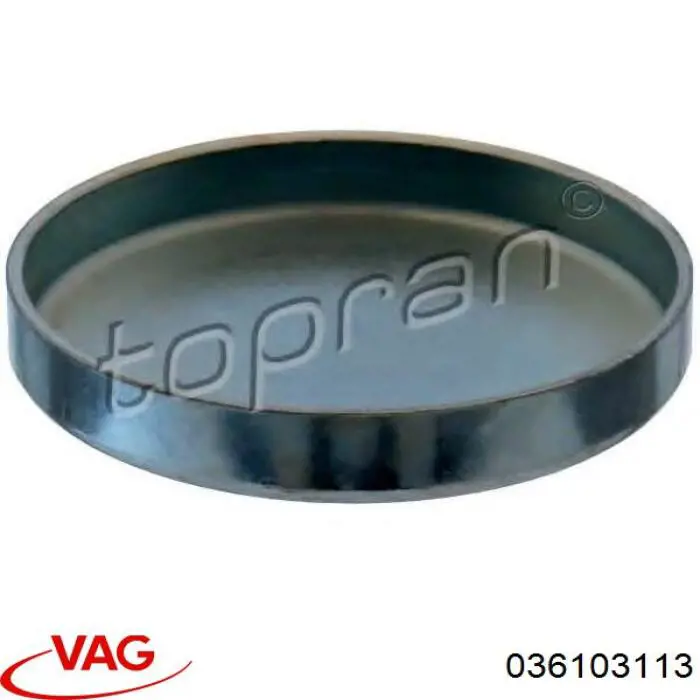 Tapa culata 6B103113 VAG