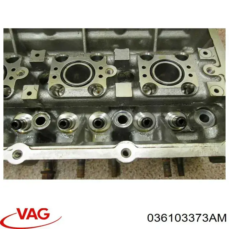 Comprar 036103373AM VAG Culata motor