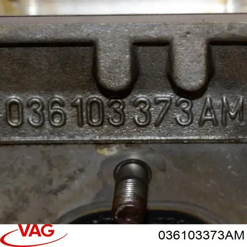 Cabeza de cilindro VAG 036103373AM precio, desde 288,95 EUR