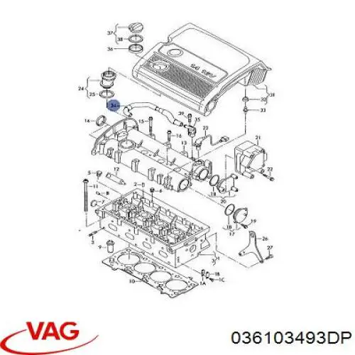 036103493DP VAG 
