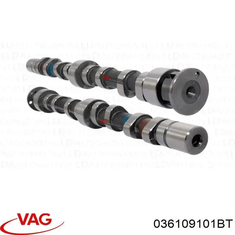 Árboles de levas VAG 036109101BT precio, desde 981,18 EUR