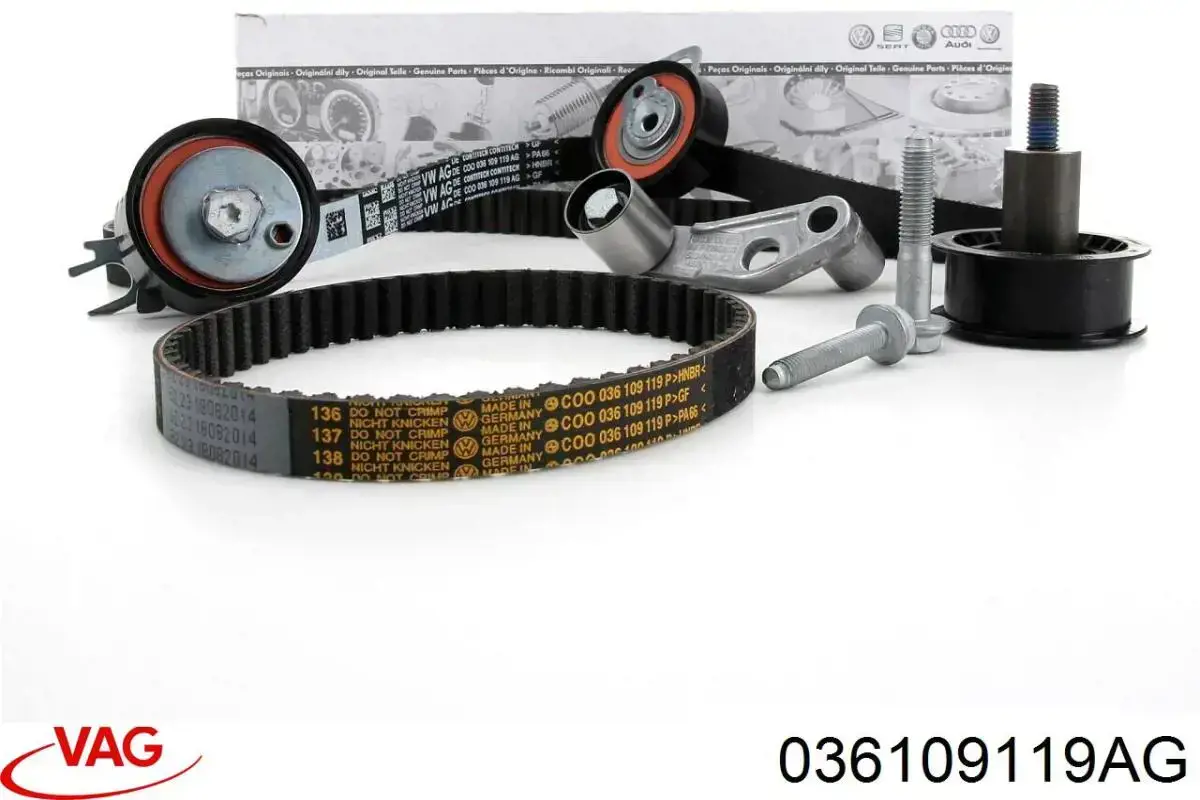 Correa de distribución VAG 036109119AG precio, desde 24,62 EUR