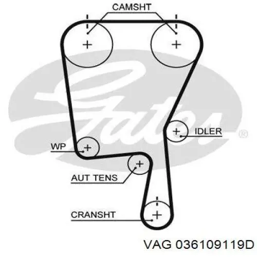 036109119D VAG correa distribucion