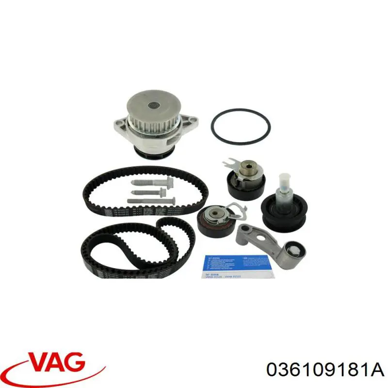 Polea correa distribución VAG 036109181A precio, desde 18,46 EUR