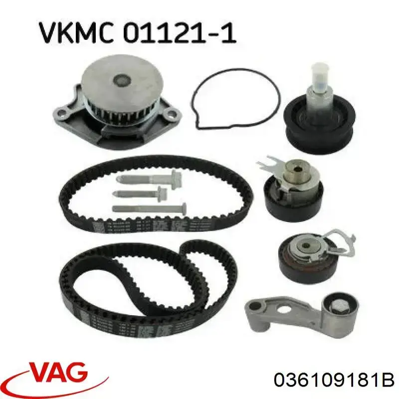 Polea correa distribución 036109181B VAG