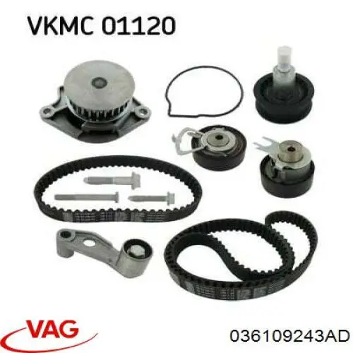Tensor de la correa de distribución VAG 036109243AD precio, desde 26,33 EUR