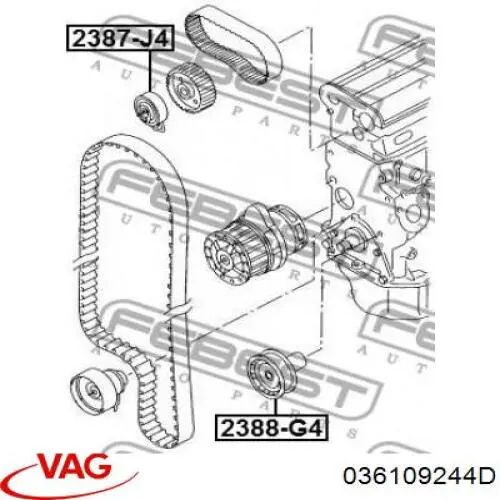Comprar 036109244D VAG Polea correa distribución