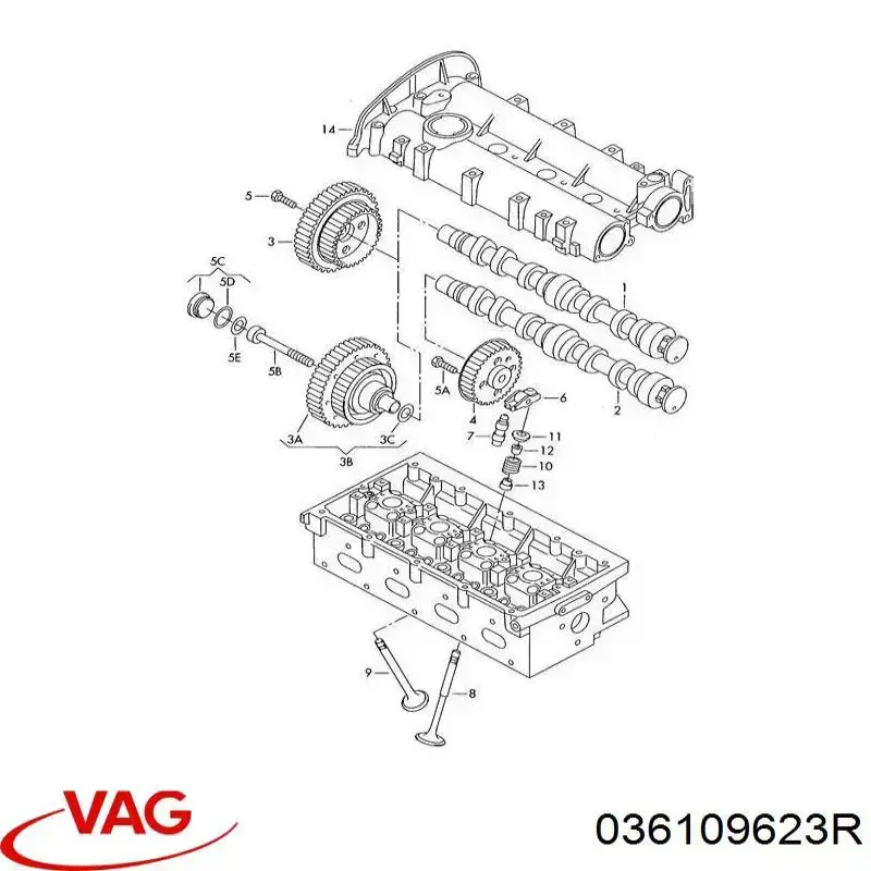 Muelle de válvula VAG 036109623H precio, desde 21,52 EUR