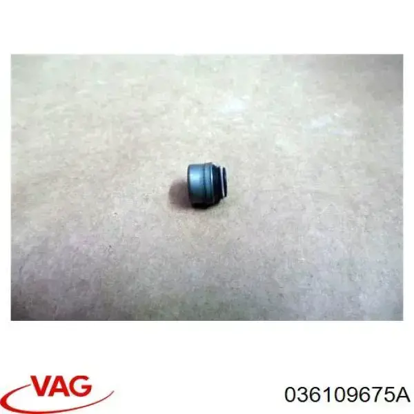 Sello De Aceite De Valvula (Rascador De Aceite) Entrada/Salida Volkswagen Multivan 7HM, 7HN, 7HF, 7EF, 7EM, 7EN