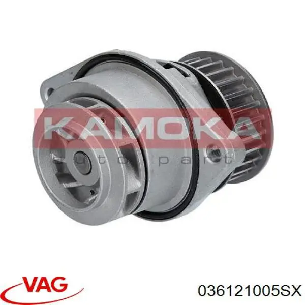 Comprar 036121005SX VAG Bomba de agua para motor
