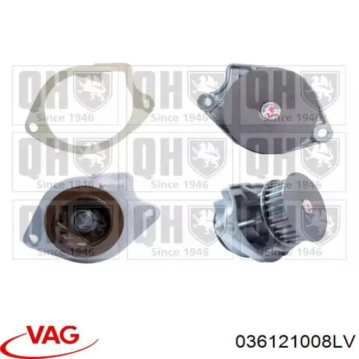Bomba de agua 036121008LV VAG