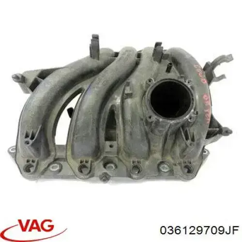 Módulo colector de admisión VAG 036129709JF precio, desde 65,34 EUR