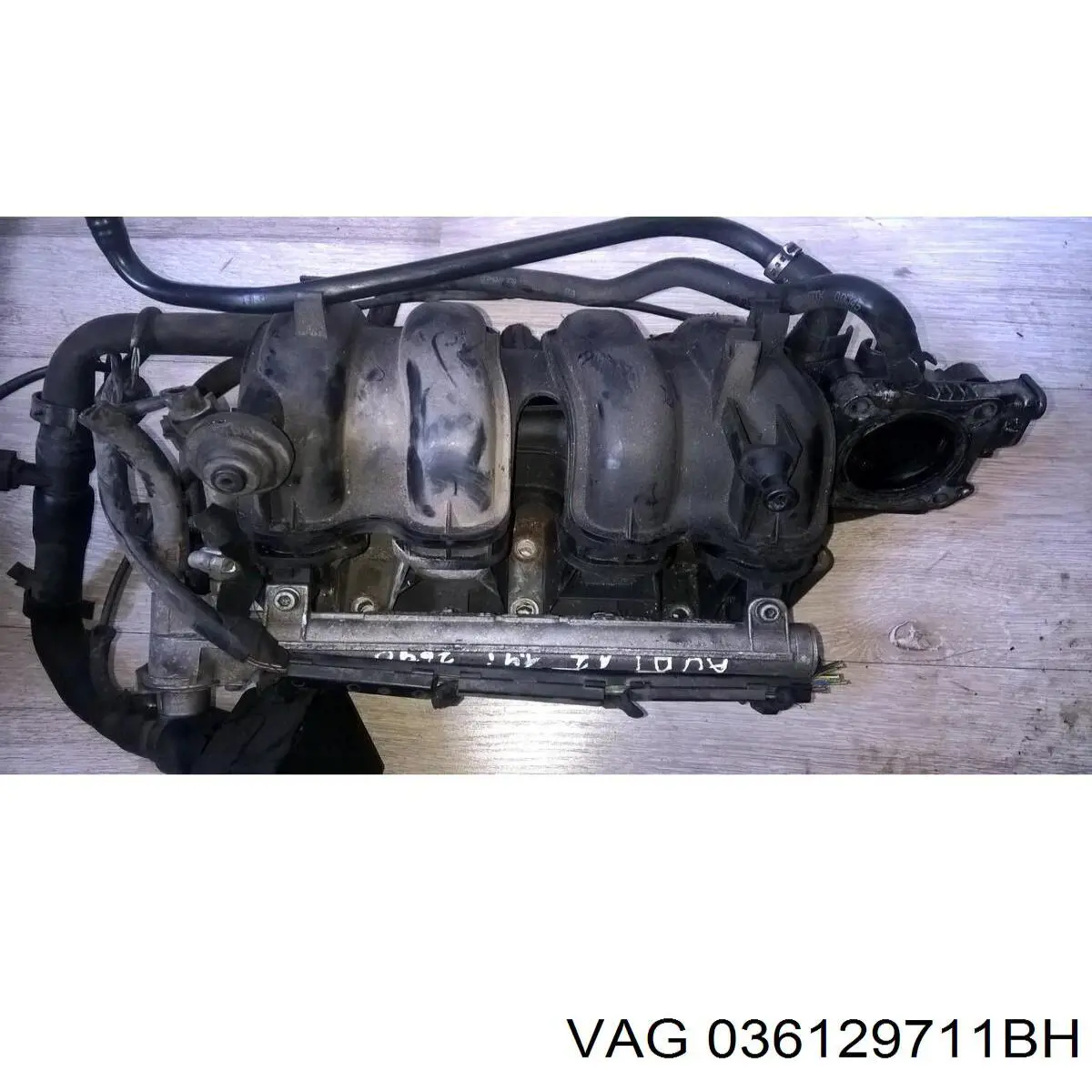 Módulo colector de admisión VAG 036129711BH precio, desde  EUR