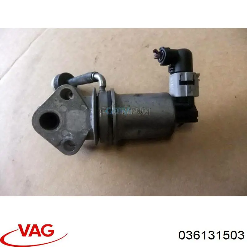 Comprar 036131503 VAG Válvula EGR