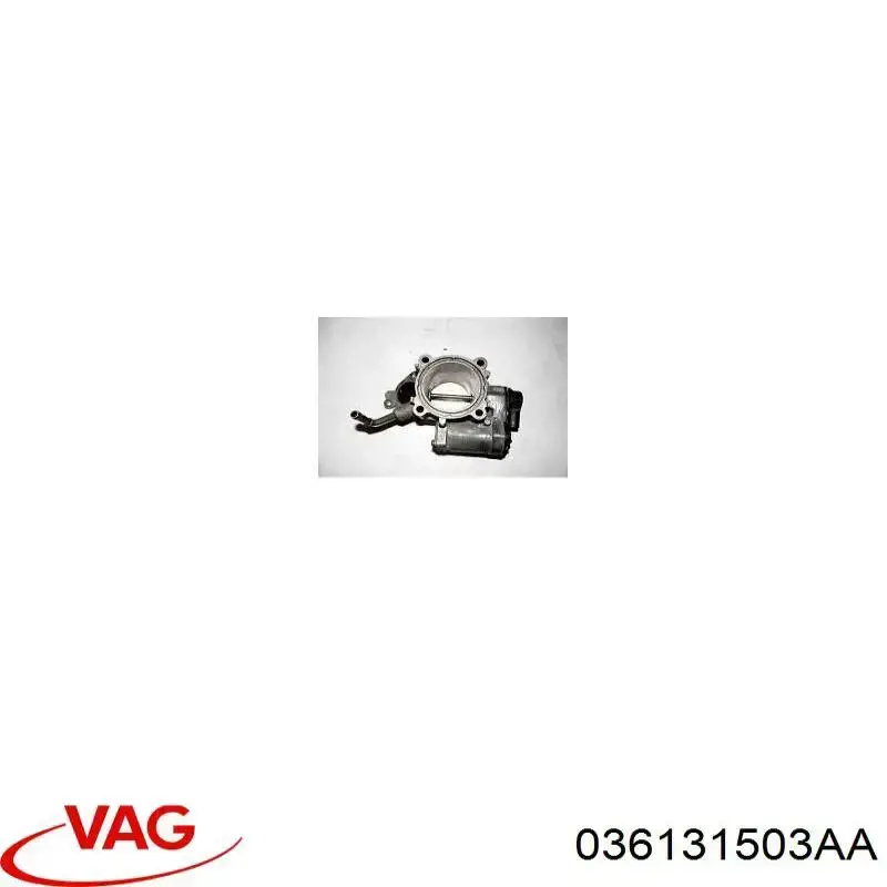 Comprar 036131503AA VAG Válvula EGR