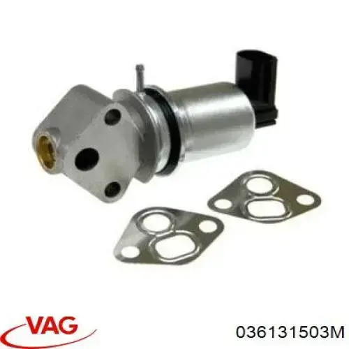Comprar 036131503M VAG Válvula EGR