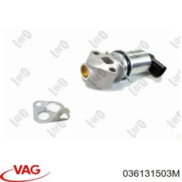 Válvula EGR 036131503M VAG