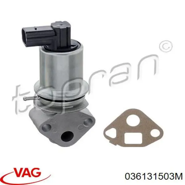 EGR VAG 036131503M