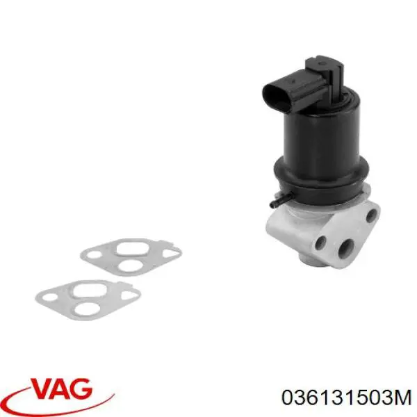 036131503M VAG Válvula EGR