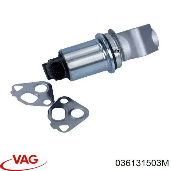 Comprar 036131503M VAG Válvula EGR