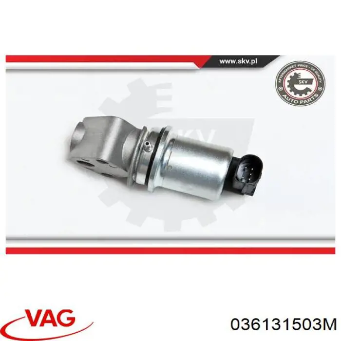 Válvula EGR 036131503M VAG