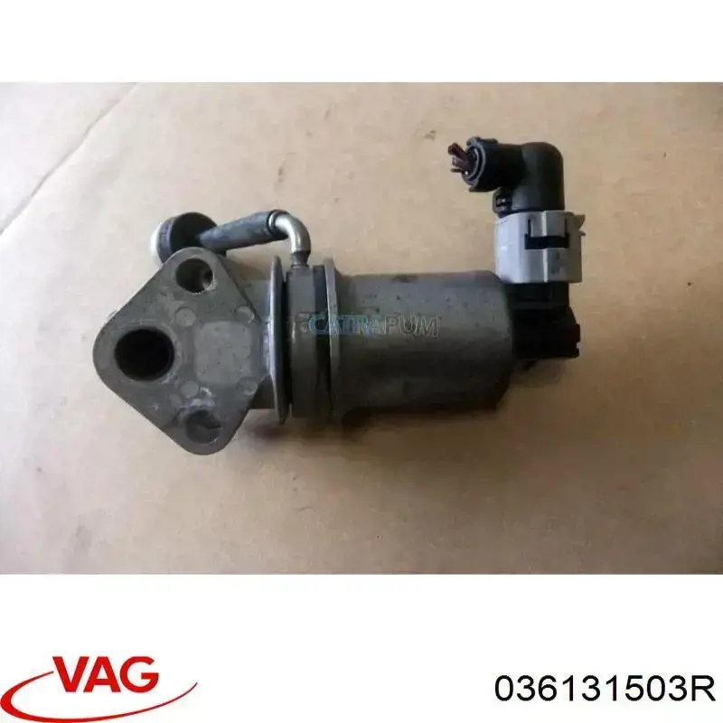 Comprar 036131503R VAG Válvula EGR