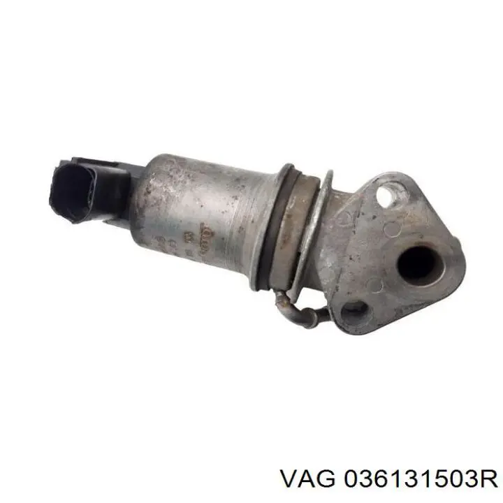 Válvula EGR 036131503R VAG