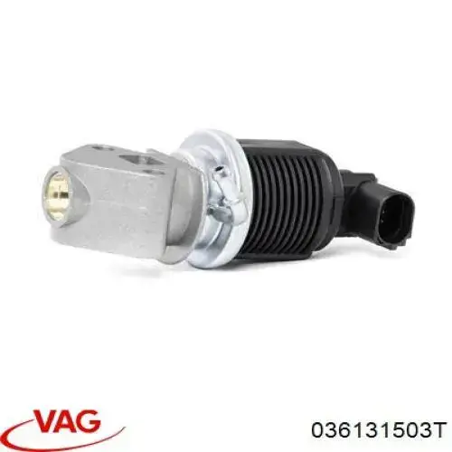 036131503T VAG Válvula EGR