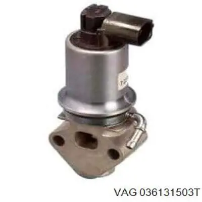 Válvula EGR 036131503T VAG
