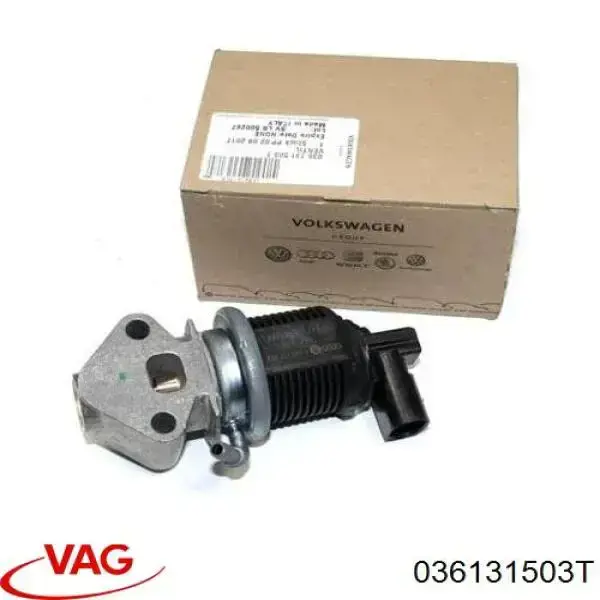 Comprar 036131503T VAG Válvula EGR