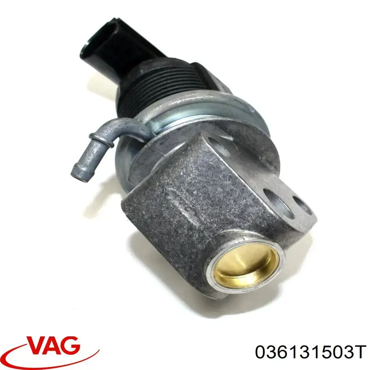 Comprar 036131503T VAG Válvula EGR