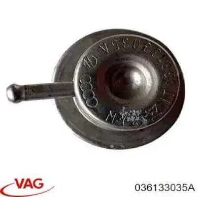 036133035A VAG regulador de presión de combustible
