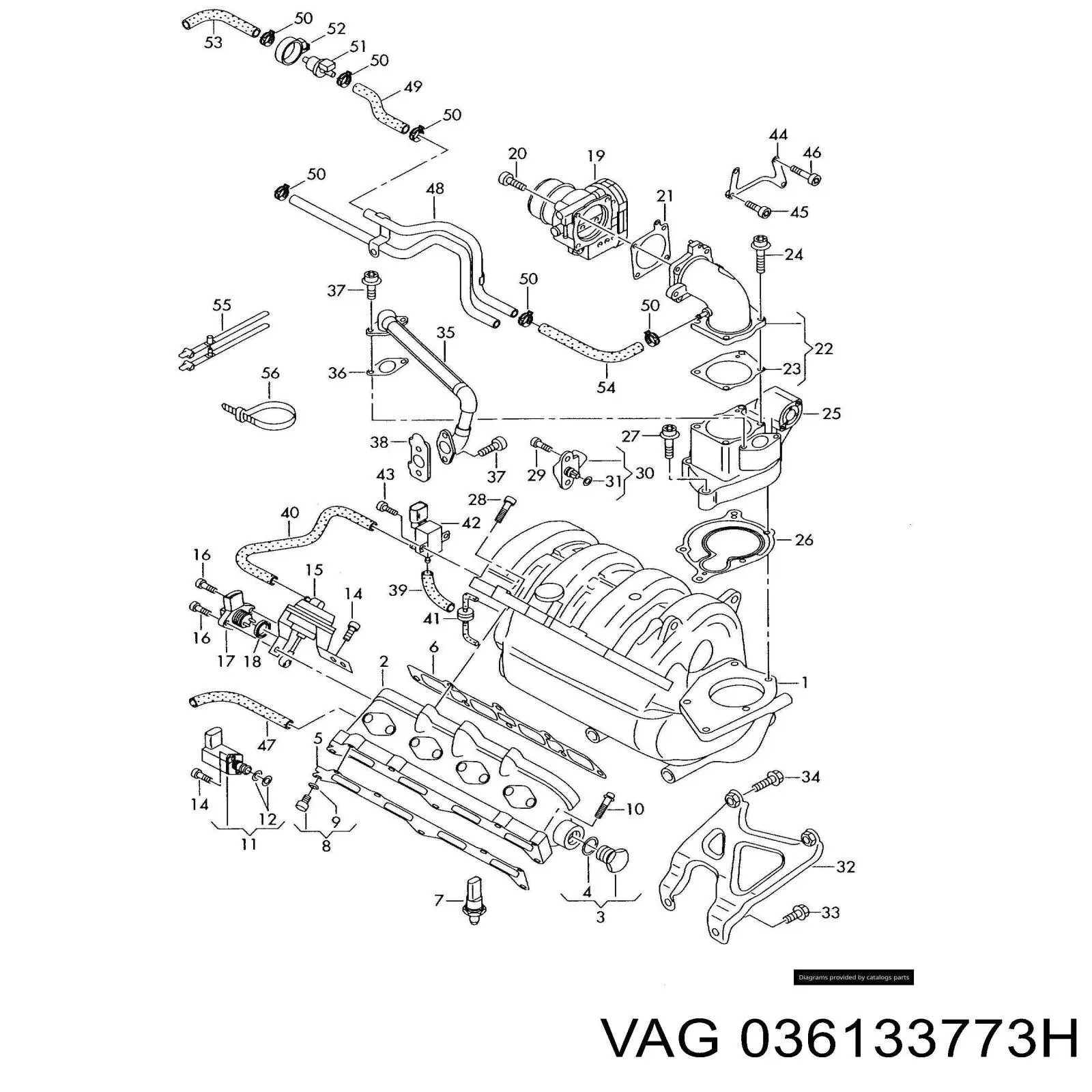 Comprar 036133773H VAG 
