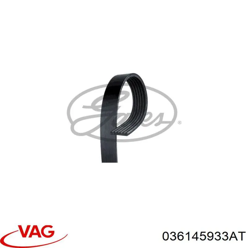 Correa trapezoidal Peugeot Partner 1 5F