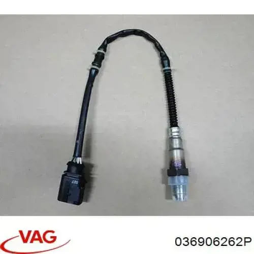 Sonda lambda de oxígeno posterior al catalizador VAG 036906262P precio, desde 53,68 EUR