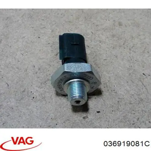 036919081C VAG sensor de presión de aceite