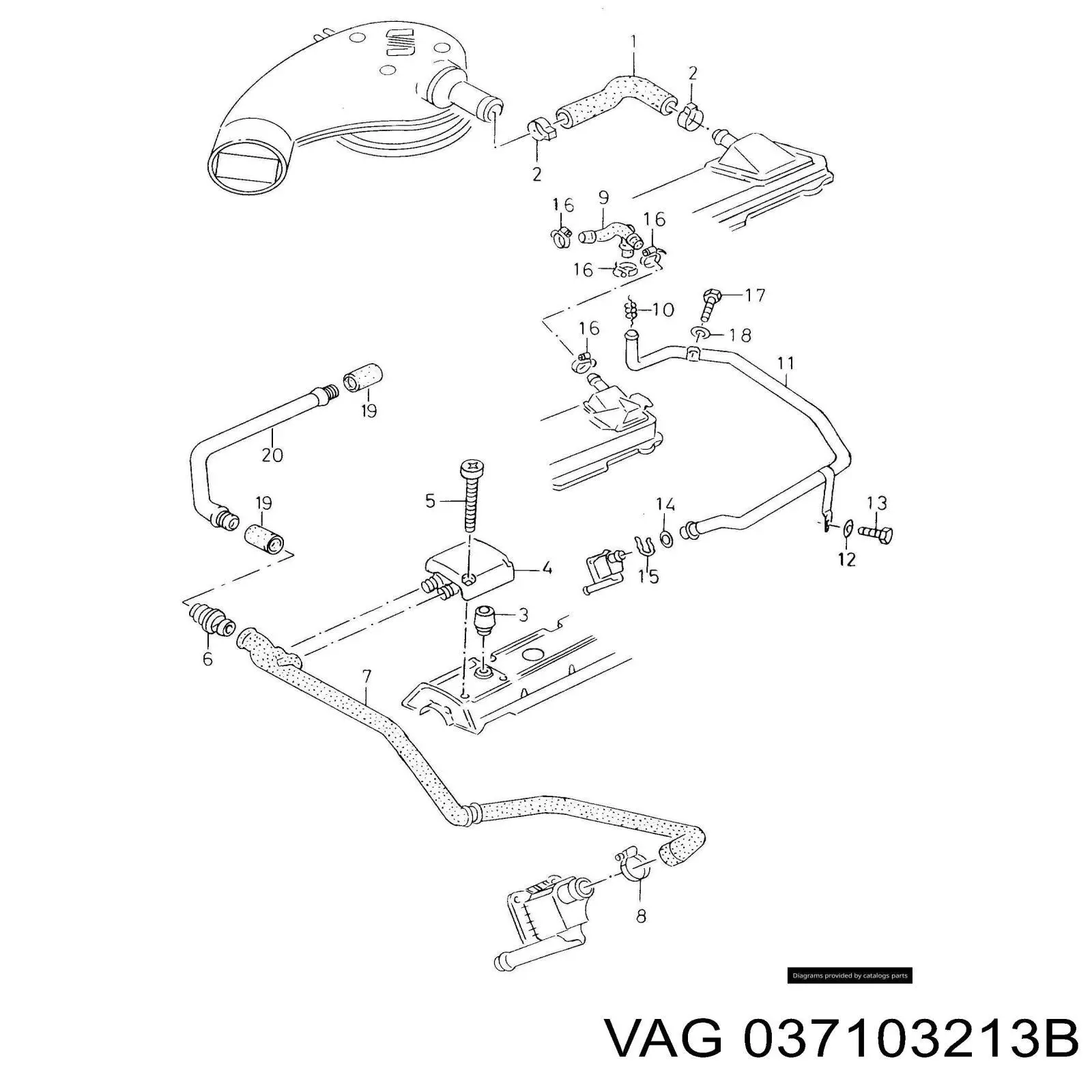 Manguera de ventilación del cárter VAG 037103213B