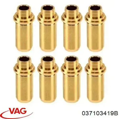 Comprar 037103419B VAG Guía de válvula