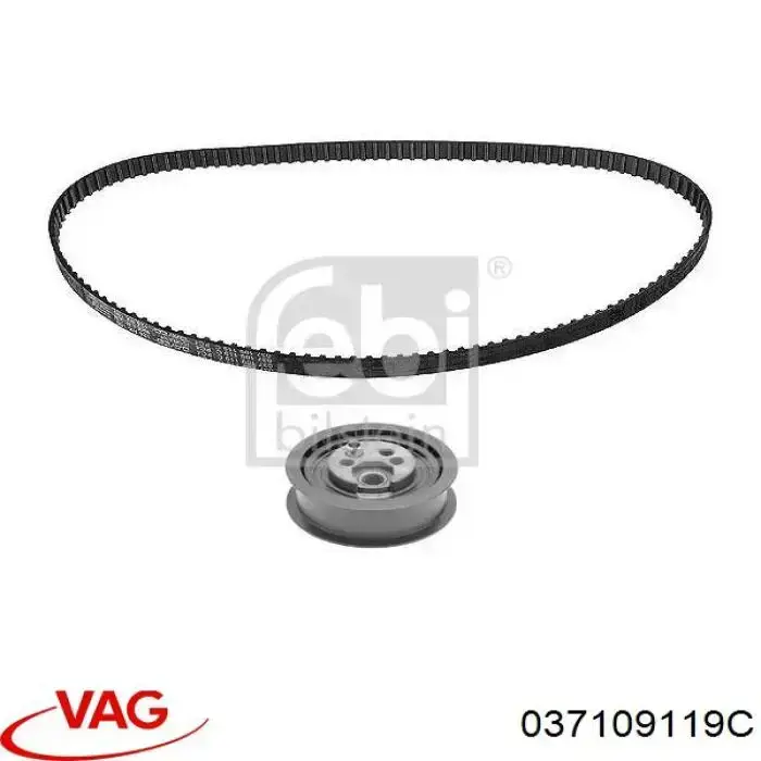 Correa distribución 037109119C VAG