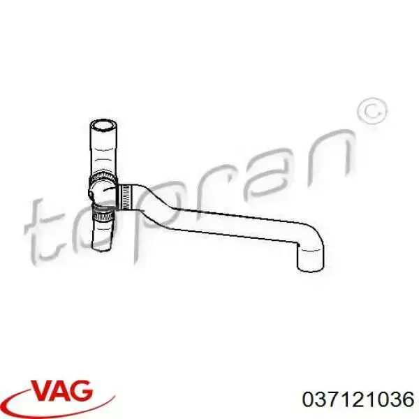 Comprar 037121036 VAG Manguera de agua refrigerante