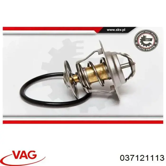 Comprar 037121113 VAG Termostato