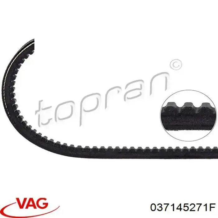 Correa de transmisión trapezoidal VAG 037145271F precio, desde 7,38 EUR
